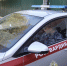 IMG_20260709_151054_798 - Сетевое издание Арбуз