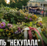 В Скорняково-Архангельском пройдёт фестиваль нового русского фолка «НеКупала» - Газета Задонская правда