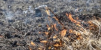 В Алтайском крае официально введён режим повышенной готовности - МО г. Бийск