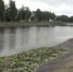 В Великих Луках снизили уровень воды в Ловати для благоустройства набережной - ГТРК Псков