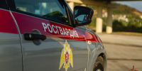 В Краснодаре росгвардейцы защитили женщину от нетрезвого приезжего - Росгвардия