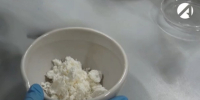 В Астраханской области обнаружили молочную продукцию Шрёдингера - Астрахань 24