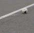 FIFA и UEFA не планируют снимать запрет с российских команд - Свойкировский.рф