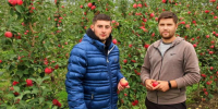 На долю Кабардино-Балкарии приходится более 52% плодово-ягодной продукции России - Кабардино-Балкарская правда