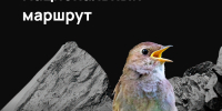 480 км по Курской области для туристов и другие итоги реализации нацпроектов в регионе - Газета Суджанские вести