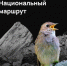 480 км по Курской области для туристов и другие итоги реализации нацпроектов в регионе - Газета Сельская новь