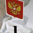 Пять кандидатов будут бороться за пост губернатора Белгородской области - Сетевое издание Ивня онлайн