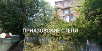 В Ейске по улице Энгельса ветка дерева перекрыла тротуар - Приазовские степи