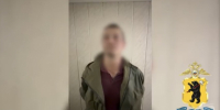 В Ярославле возбудили уголовное дело по факту жестокого обращения с животным - Городской телеканал