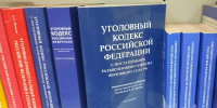 В Новомосковске возбуждено уголовное дело в отношении двух несовершеннолетних подростков - ИА Новомосковск Сегодня