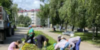 Цветочное сердце нашего города - I-ola.Ru