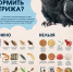Орнитологи анонсировали сезон выпавших стрижат: как им помочь - ТК Первый Тульский