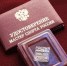 Высокое звание Мастеров спорта присвоено трем брянским спортсменам - Газета Вперёд