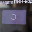 В Петербурге женщина воспользовалась найденной картой и теперь ей грозит до 6 лет - 47 новостей