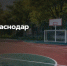 В Краснодаре запустили онлайн-бронирование муниципальных спортплощадок - Газета Краснодарские известия