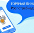 В Курской области заработала горячая линия по защите прав потребителей платных образовательных услуг. - Солнцевский район