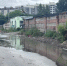 img - ЛДПР