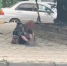 В Краснодаре полицейские установили личность девочки, жестоко расправившейся с голубем - Югополис