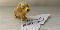 Смолянам рассказали про смертельную угрозу, которую можно предотвратить - SmolDaily.Ru