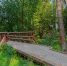Корытовский лесопарк. Фото: ПАИ - InformPskov.Ru