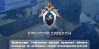Жительница Почепского района Брянской области осуждена за истязание своей несовершеннолетней дочери - Следственный комитет