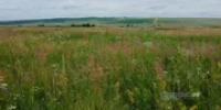 Какая погода ожидает жителей Башкирии в конце недели - Башинформ