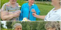 Акция «Ромашковое счастье» - МО Новольвовское