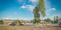 Более полутысячи молодых растений украсят новый парк «Олимпийский» в Брянске - Газета Вперёд