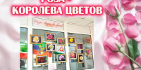 «Роза – королева цветов» - ЦБС г. Ессентуки