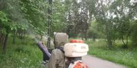 В Иркутске завершили второй этап борьбы с горностаевой молью - КП-Иркутск