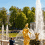 Императорские вазы Николая I вновь в Петергофе после возвращения - Peterburg2.Ru