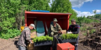 Итоги технической приемки лесокультурных площадей - Минприроды Алтайского края