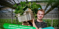 9VVcvcqe tn - Костромская ГСХА