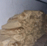 На Колыме пресекли сбыт  около 6 тонн нелегальной рыбной продукции - MagadanMedia.Ru