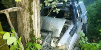 Toyota съехала в кювет и врезалась в дерево в Солнечном округе – пострадали трое - Gubernia.Com
