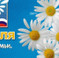 8 июля — Всероссийский день семьи, любви и верности - Архивное управление