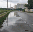 01-20260709_105654.jpeg - Ozersk74.Ru