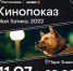 Кино под открытом небом: «Ростелеком» приглашает астраханцев на кинопоказы - Punkt-a.info