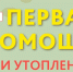 Информация. - Залесовский муниципальный округ