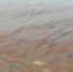 камни в озере - Петрозаводск говорит