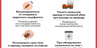 image - Газета Балтийский луч