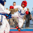 6B5A0081_1.jpg - GorodnaBire.Ru