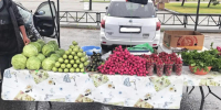 Хабаровские аграрии в выходные порадуют жителей и гостей города свежей продукцией - ИА Хабаровский край сегодня