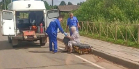 Под Кировом мужа с женой вырезали из сплющенной в ДТП машины - Город Киров