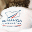 Фото: t.me/omelnichenko - Penza-Post.Ru