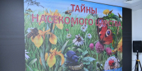 48691 - Детская библиотека