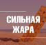 Профилактика теплового и солнечного удара - Город Владимир