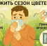 Врачи Хакасии: как уберечься от сезонной аллергии - ИА Хакасия