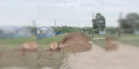 i - Novosti-Saratova.Ru