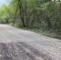 Одна из дорог, которая ведет к лагерям. Источник: Народный фронт - Ural56.Ru